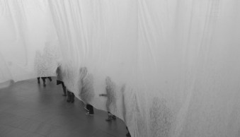 This Week’s “Choose Your Own Prompt” Challenge