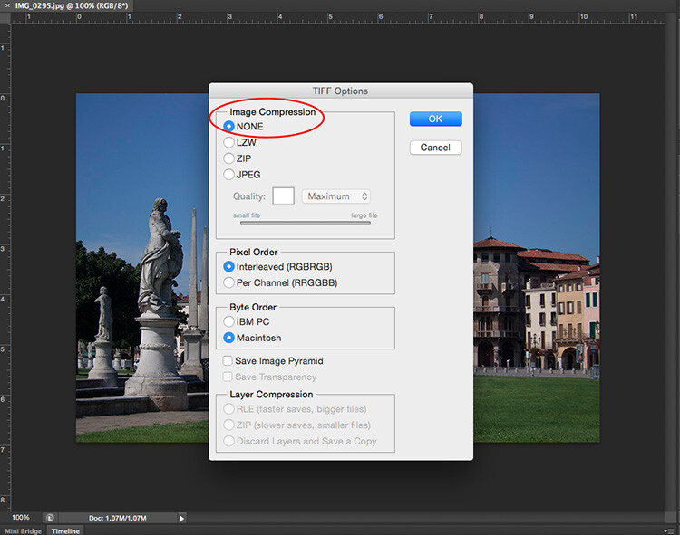 Tiff - How to Understand Pixels, Resolution, and Resize Your in Photoshop Correctly