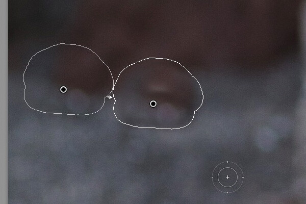 Lightroom keyboard shortcuts