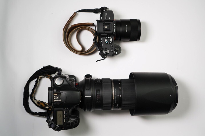 Mirrorless versus dslr - The dPS Absolute Beginner&rsquo;s Guide to Photography
