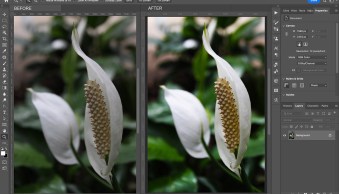 Overlay Blend Mode: A Comprehensive Guide