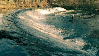 How to Create a Split-Tone Style in Lightroom Mobile