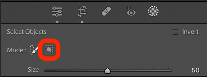 Lightroom Object Selection, screenshot with Rectangle mode clearly identified.